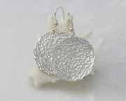 Sterling Silver earrings hanging from coral