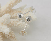 Silver stud earrings on coral